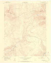 Download a high-resolution, GPS-compatible USGS topo map for Dolores Peak, CO (1954 edition)