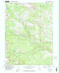 Download a high-resolution, GPS-compatible USGS topo map for Dome Peak, CO (1978 edition)