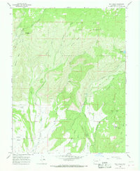 preview thumbnail of historical topo map of Delta County, CO in 1965