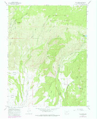 Download a high-resolution, GPS-compatible USGS topo map for Dry Creek, CO (1979 edition)