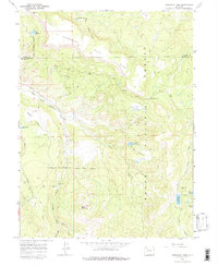 Download a high-resolution, GPS-compatible USGS topo map for Dunckley Pass, CO (1988 edition)