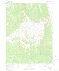 Download a high-resolution, GPS-compatible USGS topo map for Dunckley, CO (1980 edition)