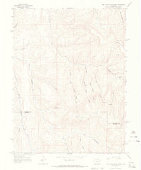 Download a high-resolution, GPS-compatible USGS topo map for East Evacuation Creek, CO (1968 edition)