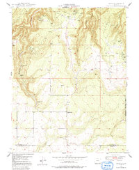 Download a high-resolution, GPS-compatible USGS topo map for Egnar, CO (1991 edition)