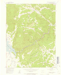Download a high-resolution, GPS-compatible USGS topo map for Elevenmile Canyon, CO (1957 edition)