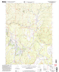 Download a high-resolution, GPS-compatible USGS topo map for Elkhorn Mountain, CO (2004 edition)