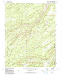 Download a high-resolution, GPS-compatible USGS topo map for Escalante Forks, CO (1992 edition)
