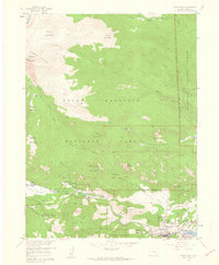 Download a high-resolution, GPS-compatible USGS topo map for Estes Park, CO (1959 edition)