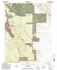 Download a high-resolution, GPS-compatible USGS topo map for Fairplay West, CO (1998 edition)