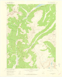 Download a high-resolution, GPS-compatible USGS topo map for Fall River Pass, CO (1959 edition)