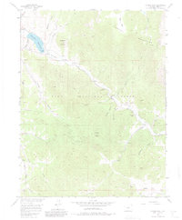 Download a high-resolution, GPS-compatible USGS topo map for Farnum Peak, CO (1980 edition)