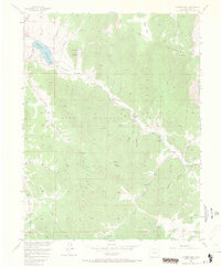 Download a high-resolution, GPS-compatible USGS topo map for Farnum Peak, CO (1970 edition)