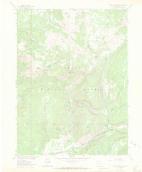 Download a high-resolution, GPS-compatible USGS topo map for Farwell Mountain, CO (1971 edition)