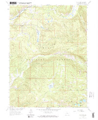 Download a high-resolution, GPS-compatible USGS topo map for Floyd Peak, CO (1988 edition)