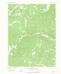 Download a high-resolution, GPS-compatible USGS topo map for Floyd Peak, CO (1964 edition)