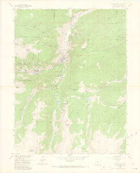 Download a high-resolution, GPS-compatible USGS topo map for Georgetown, CO (1969 edition)