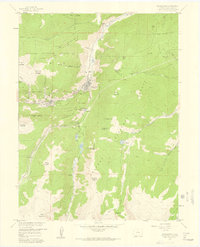 Download a high-resolution, GPS-compatible USGS topo map for Georgetown, CO (1959 edition)