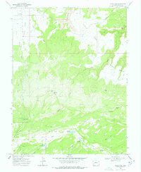 Download a high-resolution, GPS-compatible USGS topo map for Glade Park, CO (1978 edition)