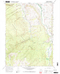 Download a high-resolution, GPS-compatible USGS topo map for Glendevey, CO (1974 edition)