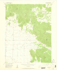 Download a high-resolution, GPS-compatible USGS topo map for Glentivar, CO (1960 edition)