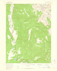 Download a high-resolution, GPS-compatible USGS topo map for Grand Lake, CO (1960 edition)