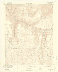 Download a high-resolution, GPS-compatible USGS topo map for Gray Head, CO (1954 edition)