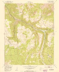 1953 Map of Gray Head, 1954 Print