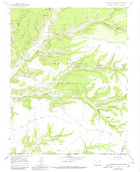 Download a high-resolution, GPS-compatible USGS topo map for Greasewood Canyon, CO (1980 edition)