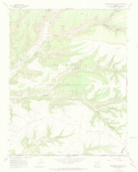 Download a high-resolution, GPS-compatible USGS topo map for Greasewood Canyon, CO (1969 edition)