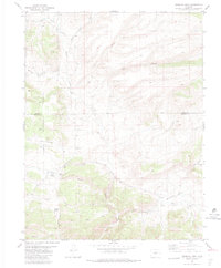 Download a high-resolution, GPS-compatible USGS topo map for Gribbles Park, CO (1983 edition)