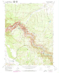 Download a high-resolution, GPS-compatible USGS topo map for Grizzly Ridge, CO (1979 edition)