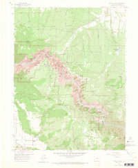 Download a high-resolution, GPS-compatible USGS topo map for Grizzly Ridge, CO (1965 edition)