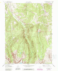 Download a high-resolution, GPS-compatible USGS topo map for Grouse Mountain, CO (1988 edition)