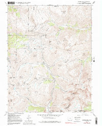 Download a high-resolution, GPS-compatible USGS topo map for Handies Peak, CO (1991 edition)