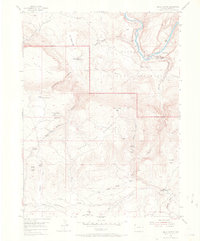 Download a high-resolution, GPS-compatible USGS topo map for Hells Canyon, CO (1968 edition)