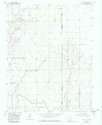 Download a high-resolution, GPS-compatible USGS topo map for Holly NE, CO (1983 edition)