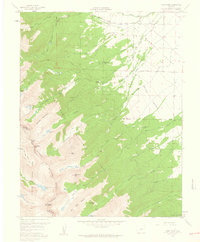 Download a high-resolution, GPS-compatible USGS topo map for Horn Peak, CO (1961 edition)