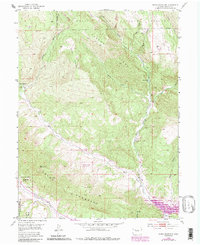 Download a high-resolution, GPS-compatible USGS topo map for Horse Mountain, CO (1988 edition)