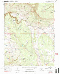 Download a high-resolution, GPS-compatible USGS topo map for Hotchkiss Reservoir, CO (1978 edition)