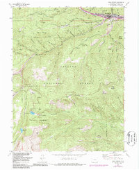 Download a high-resolution, GPS-compatible USGS topo map for Idaho Springs, CO (1987 edition)