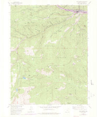 Download a high-resolution, GPS-compatible USGS topo map for Idaho Springs, CO (1976 edition)