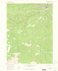 Download a high-resolution, GPS-compatible USGS topo map for Idaho Springs, CO (1962 edition)