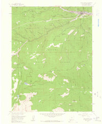 Download a high-resolution, GPS-compatible USGS topo map for Idaho Springs, CO (1959 edition)