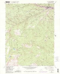 1957 Map of Idaho Springs, 1987 Print