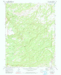 Download a high-resolution, GPS-compatible USGS topo map for Island Mesa, CO (1980 edition)