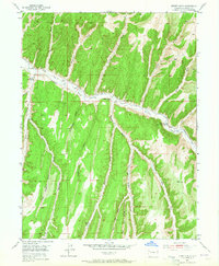 Download a high-resolution, GPS-compatible USGS topo map for Jessup Gulch, CO (1965 edition)
