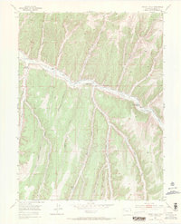 Download a high-resolution, GPS-compatible USGS topo map for Jessup Gulch, CO (1971 edition)
