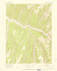 Download a high-resolution, GPS-compatible USGS topo map for Jessup Gulch, CO (1954 edition)