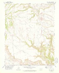 Download a high-resolution, GPS-compatible USGS topo map for Jesus Canyon, CO (1979 edition)