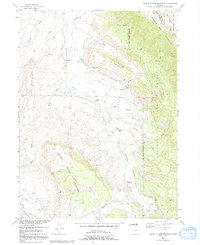 Download a high-resolution, GPS-compatible USGS topo map for Johnny Moore Mountain, CO (1991 edition)